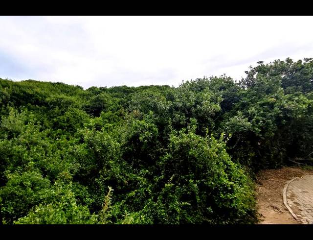 LAND FOR SALE IN DWARSWEGSTRAND